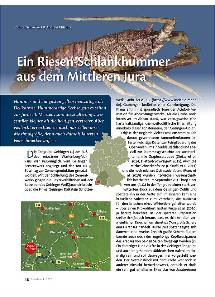 Dieses Bild zeigt das Bild 1 zu Artikelnummer FO200108