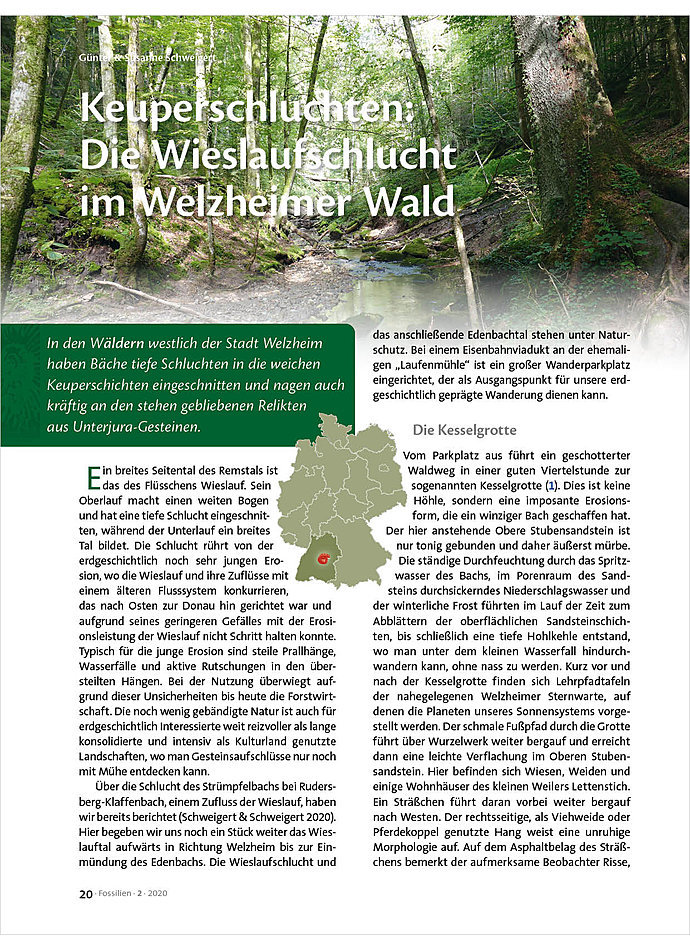 KEUPERSCHLUCHTEN: DIE WIESLAUFSCHLUCHT IM WELZHEIMER WALD