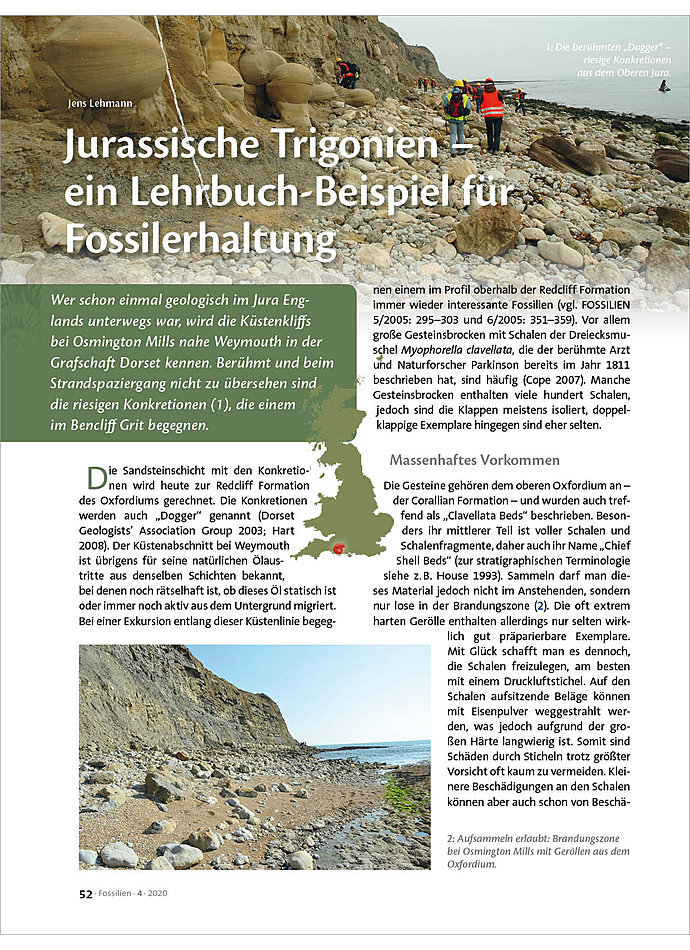 JURASSISCHE TRIGONIEN - EIN LEHRBUCH-BEISPIEL FR FOSSILERHALTUNG