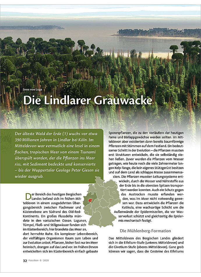 DIE LINDLARER GRAUWACKE