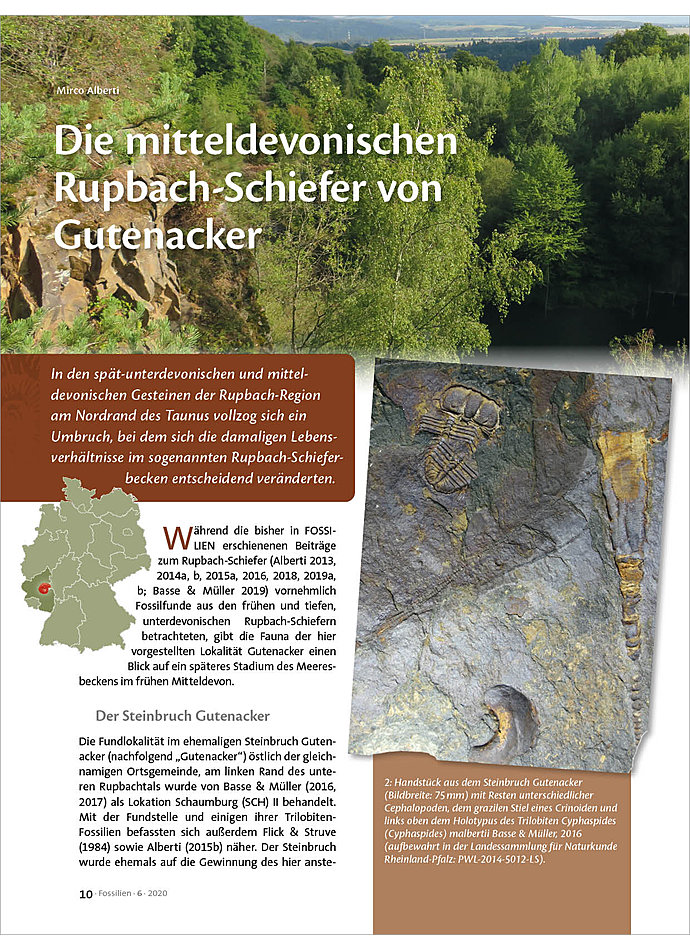 DIE MITTELDEVONISCHEN RUPBACH- SCHIEFER VON GUTENACKER