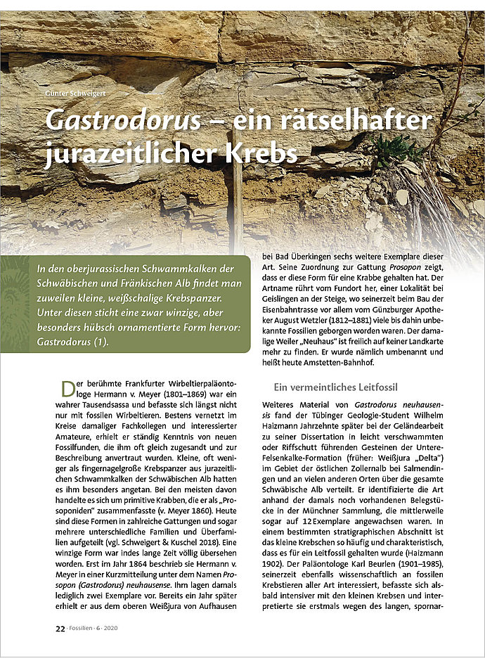 GASTRODORUS - EIN RTSELHAFTER JURAZEITLICHER KREBS