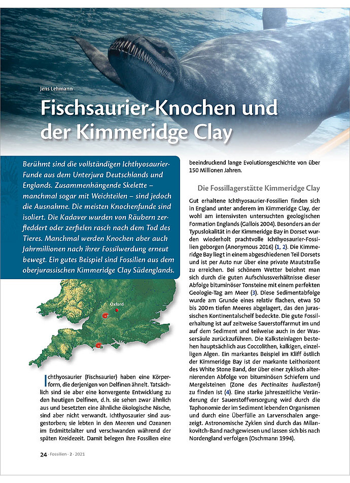 Auf diesem Bild sehen Sie das Produktbild 1 fr FISCHSAURIER-KNOCHEN UND DER KIMMERIDGE CLAY