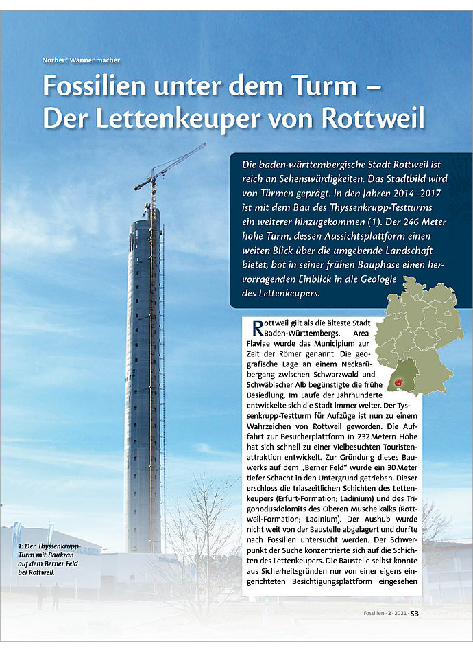 FOSSILIEN UNTER DEM TURM - DER  LETTENKEUPER VON ROTTWEIL