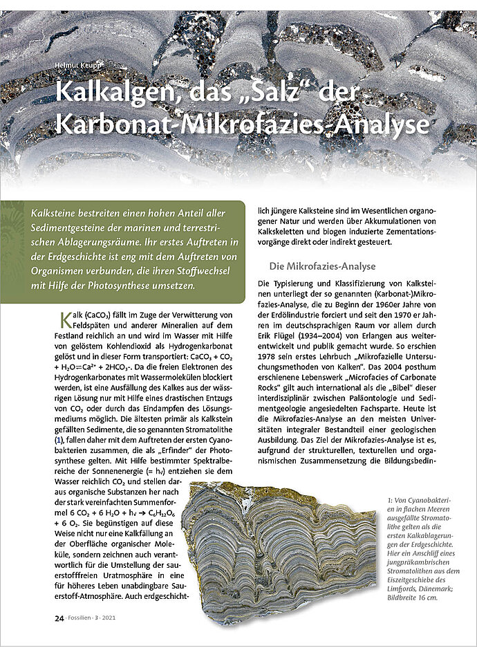 KALKALGEN, DAS SALZ DER KARBONAT-MIKROFAZIES-ANALYSE