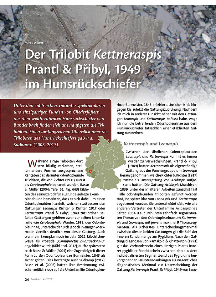 DER TRILOBIT KETTNERASPIS PRANTL & PRIBYL, 1949 IM HUNSRCKSCHIEFER