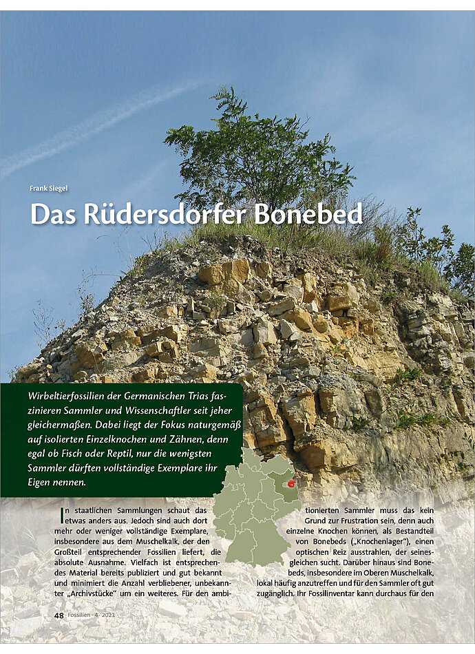 DAS RDERSDORFER BONEBED