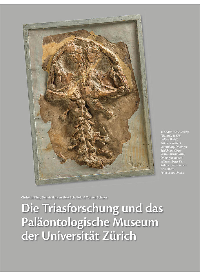 DIE TRIASFORSCHUNG UND DAS PALONTOLOGISCHE MUSEUM DER UNIVERSITT ZRICH