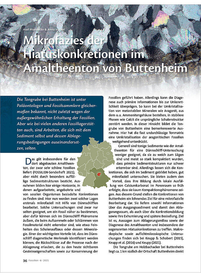 Auf diesem Bild sehen Sie das Produktbild 1 fr MIKROFAZIES DER HIATUSKONKRETIONEN IM AMALTHEENTON VON BUTTENHEIM