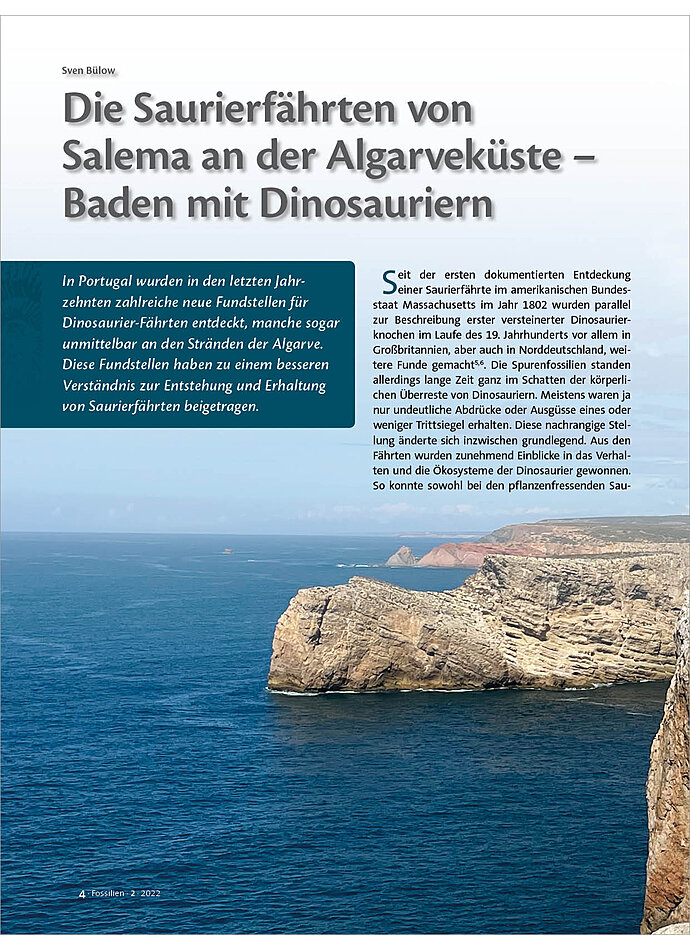 DIE SAURIERFHRTEN VON SALEMA AN DER ALGARVEKSTE - BADEN MIT DINOSAURIERN