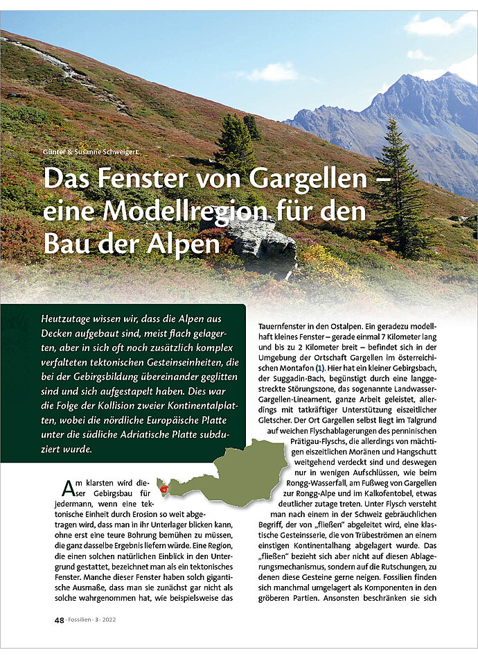 DAS FENSTER VON GARGELLEN - EINE MODELLREGION FR DEN BAU DER ALPEN