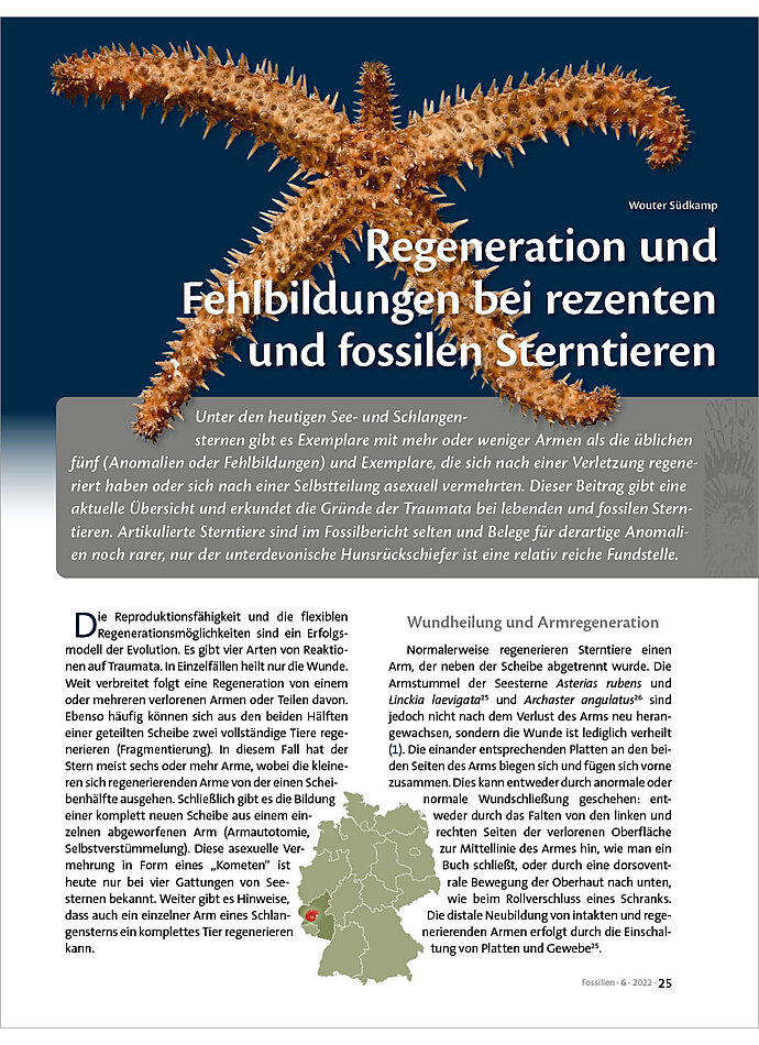 REGENERATION UND FEHLBILDUNGEN BEI REZENTEN UND FOSSILEN STERNTIEREN