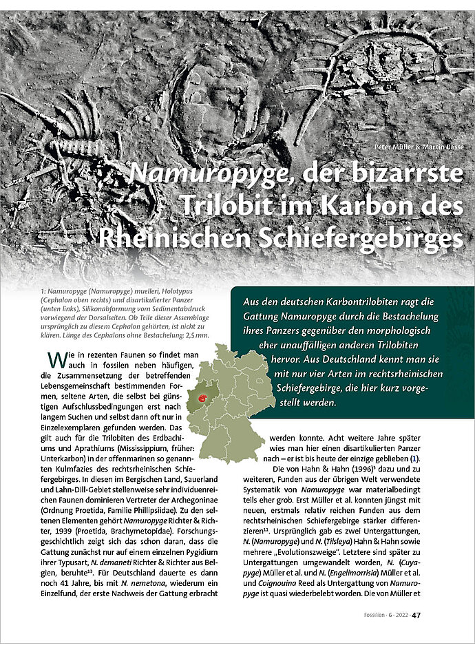 Auf diesem Bild sehen Sie das Produktbild 1 fr NAMUROPYGE, DER BIZARRSTE TRILOBIT IM KARBON DES RHEINISCHEN SCHIEFERGEBIRGES