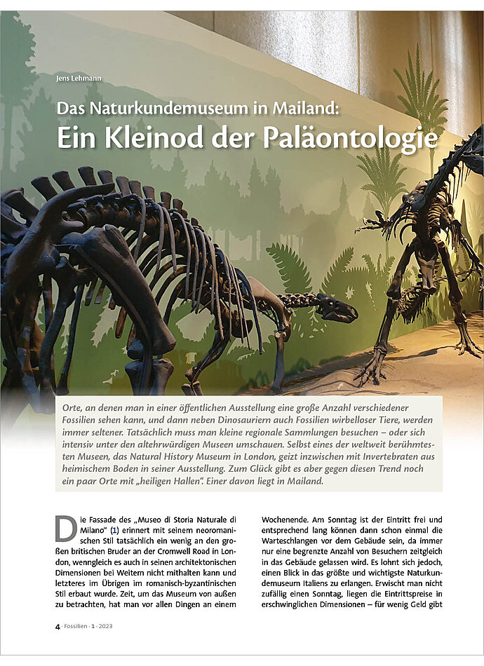 DAS NATURKUNDEMUSEUM IN MAILAND: EIN KLEINOD DER PALONTHOLOGIE