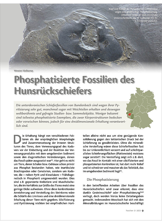 PHOSPHATISIERTE FOSSILIEN DES HUNSRCKSCHIEFERS