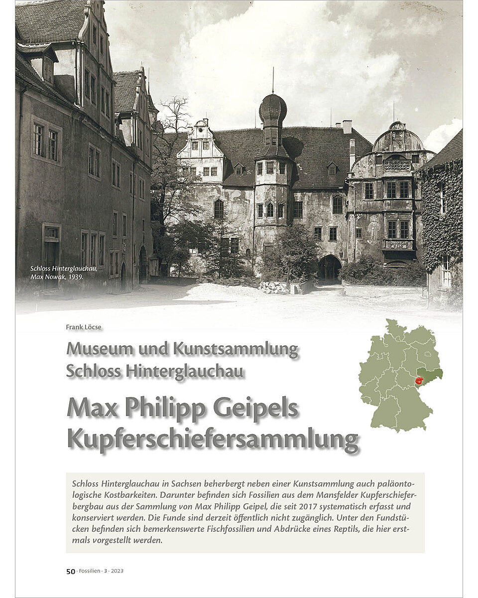 MUSEUM UND KUNSTSAMMLUNG SCHLO SS HINTERGLAUCHAU: MAX PHILIPP GEIPELS KUPFERSCHIEFERSAMMLUNG