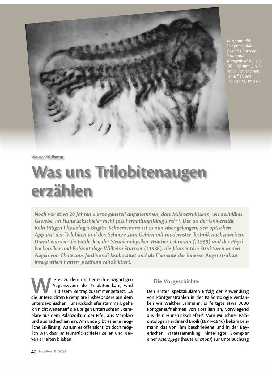 WAS UNS TRILOBITENAUGEN ERZHLEN