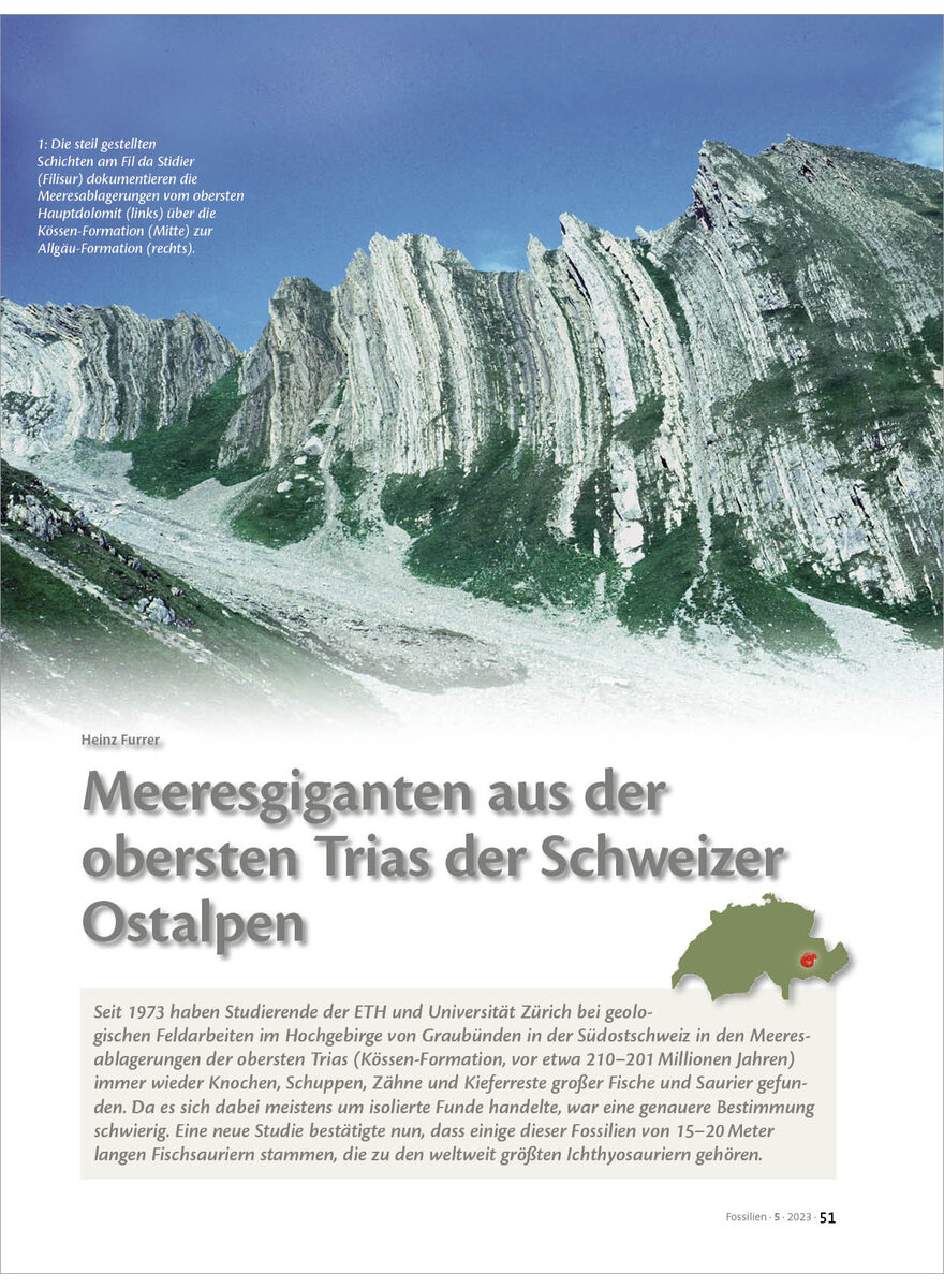 MEERESGIGANTEN AUS DER OBERSTEN TRIAS DER SCHWEIZER OSTALPEN