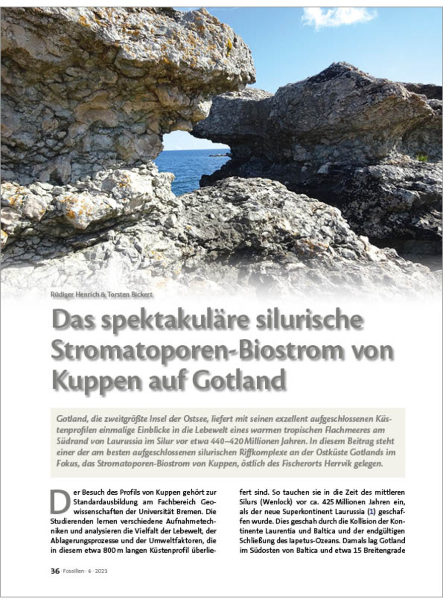 DAS SPEKTAKULRE SILURISCHE STROMATOPOREN-BIOSTROM VON KUPPEN AUF GOTLAND