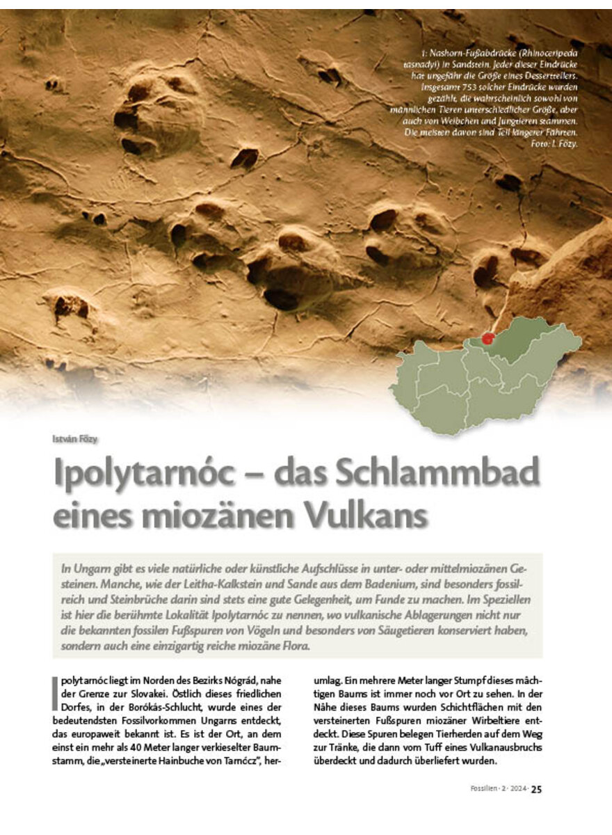 Auf diesem Bild sehen Sie das Produktbild 1 fr IPOLYTARNOC - DAS SCHLAMMBAD EINES MIOZNEN VULKANS