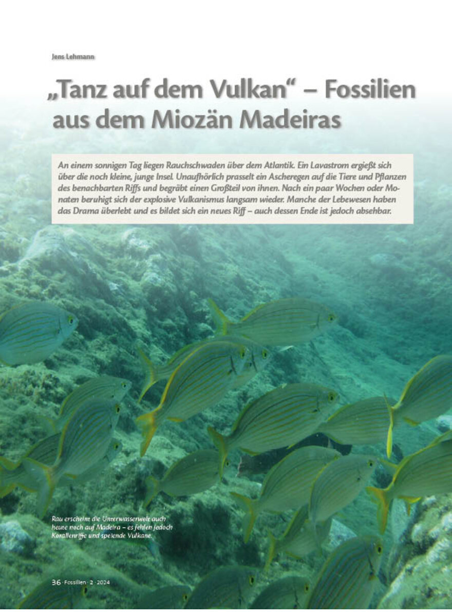 Auf diesem Bild sehen Sie das Produktbild 1 fr TANZ AUF DEM VULKAN - FOSSILIEN AUS DEM MIOZN MADEIRAS