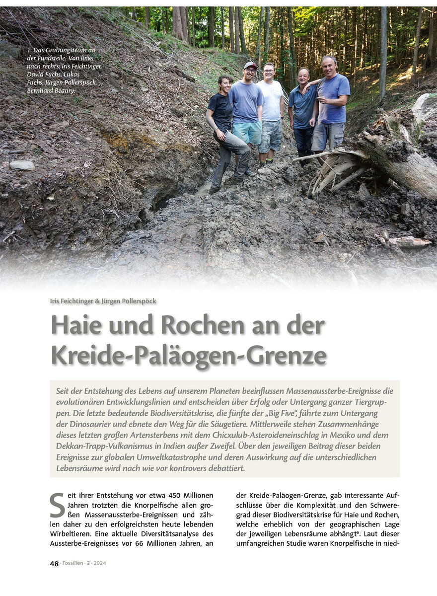 HAIE UND ROCHEN AN DER KREIDE- PALOGEN-GRENZE