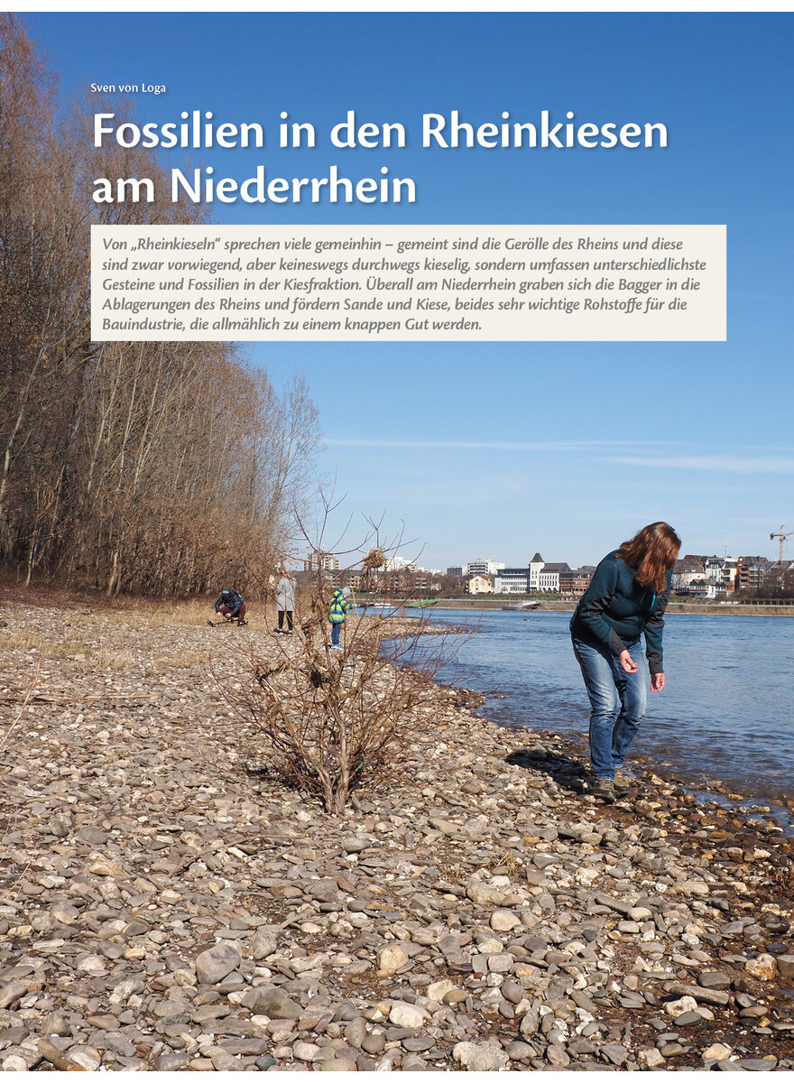 Auf diesem Bild sehen Sie das Produktbild 1 fr FOSSILIEN IN DEN RHEINKIESEN AM NIEDERRHEIN