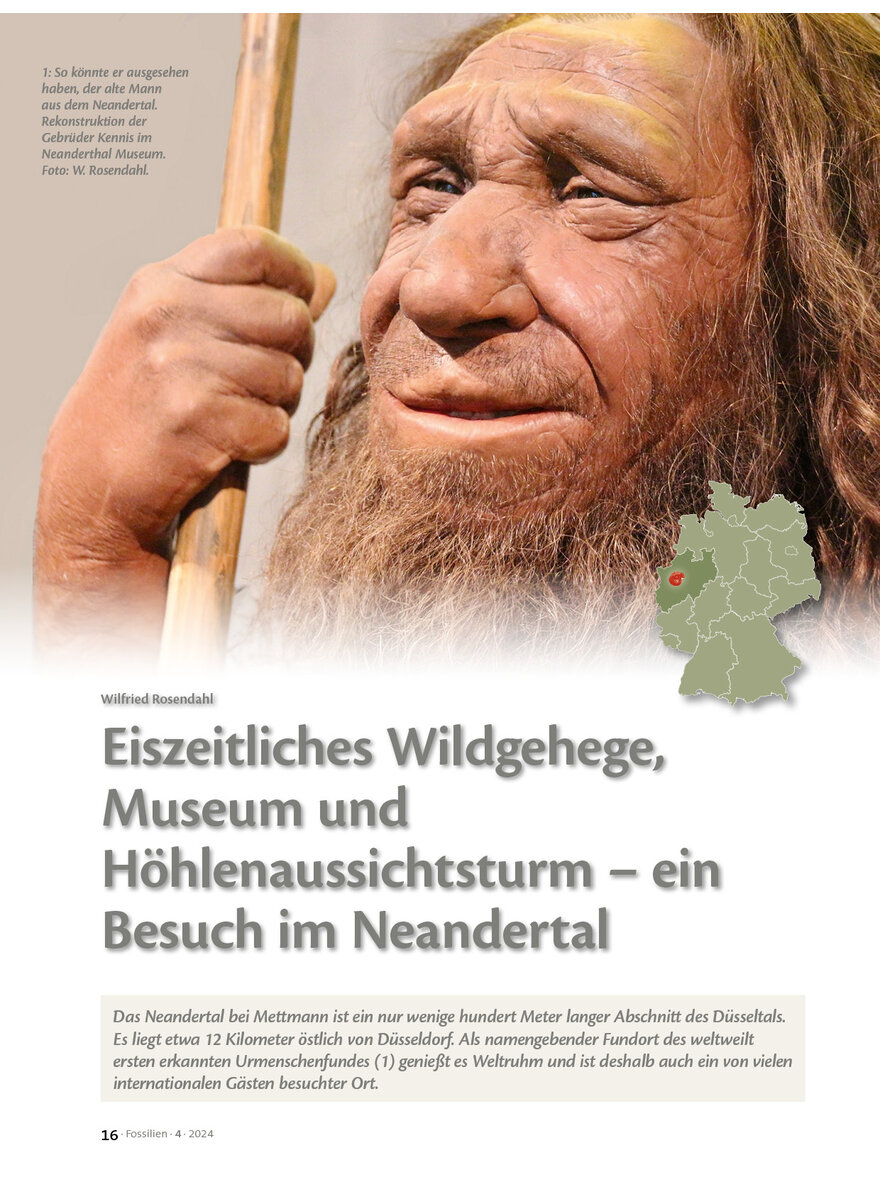 Auf diesem Bild sehen Sie das Produktbild 1 fr EISZEITLICHES WILDGEHEGE, MUSEUM UND HHLENAUSSICHTSTURM - EIN BESUCH IM NEANDERTAL