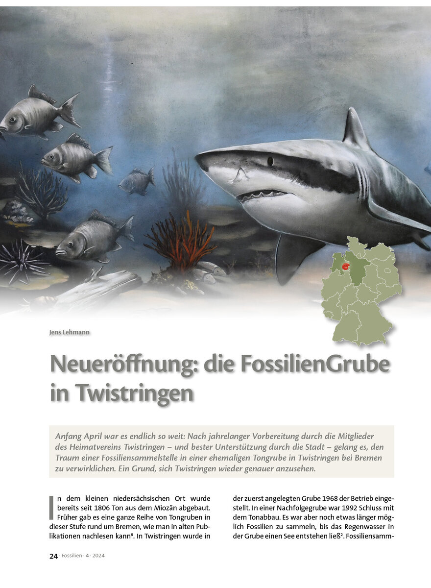 Auf diesem Bild sehen Sie das Produktbild 1 fr NEUERFFNUNG: DIE FOSSILIENGRUBE IN TWISTRINGEN