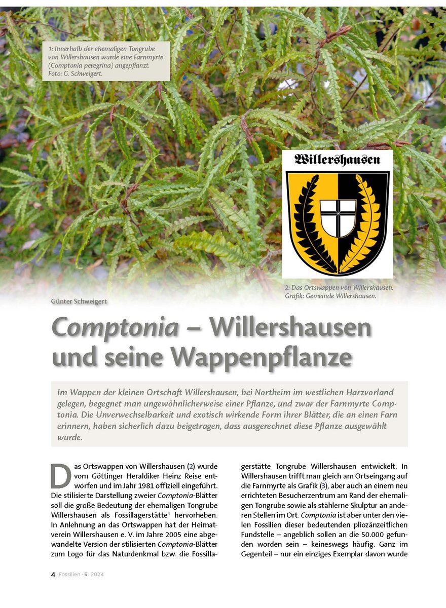 Auf diesem Bild sehen Sie das Produktbild 1 fr COMPTONIA - WILLERSHAUSEN UND SEINE WAPPENPFLANZE
