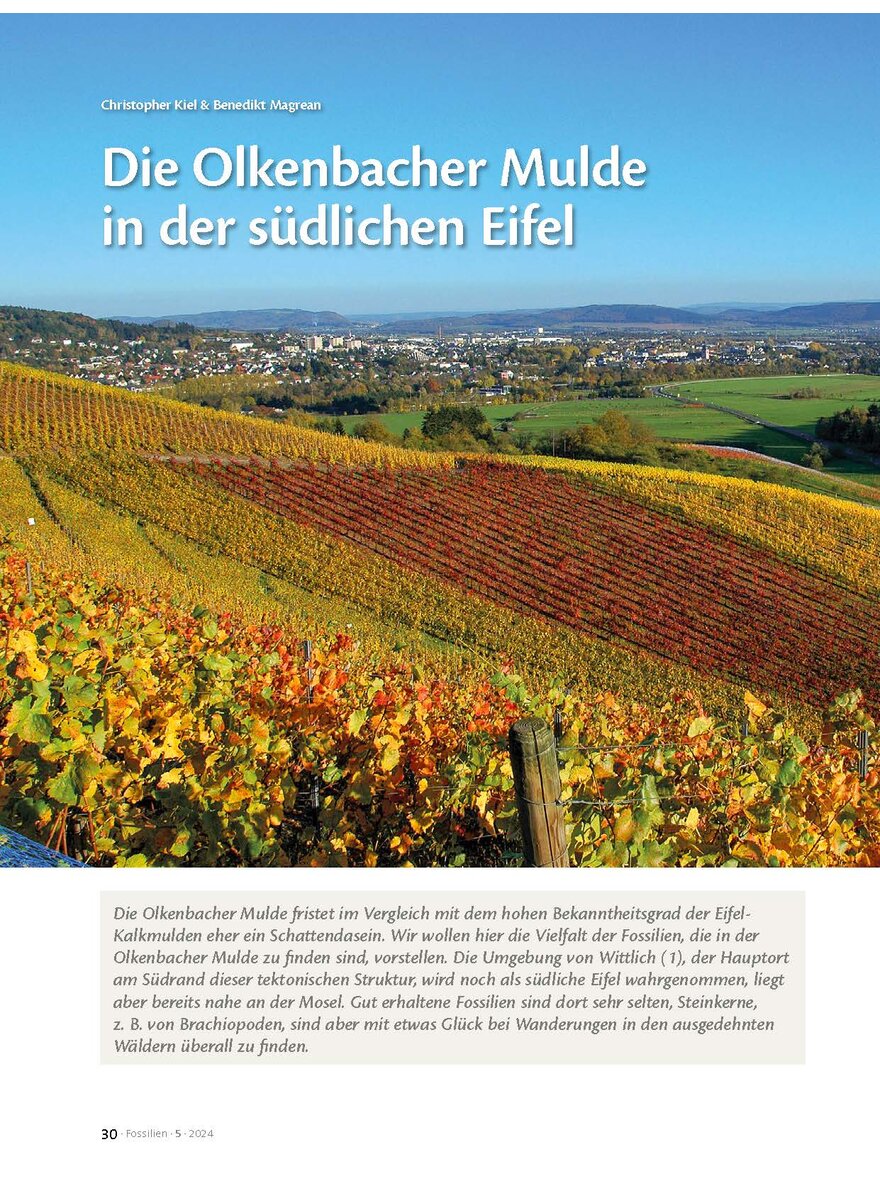 Auf diesem Bild sehen Sie das Produktbild 1 fr DIE OLKENBACHER MULDE IN DER SDLICHEN EIFEL