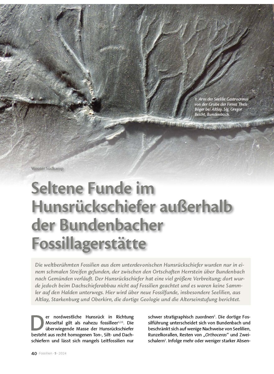 Auf diesem Bild sehen Sie das Produktbild 1 fr SELTENE FUNDE IM HUNSRCK- SCHIEFER AUSSERHALB DER BUNDENBACHER FOSSILLAGERSTTTE