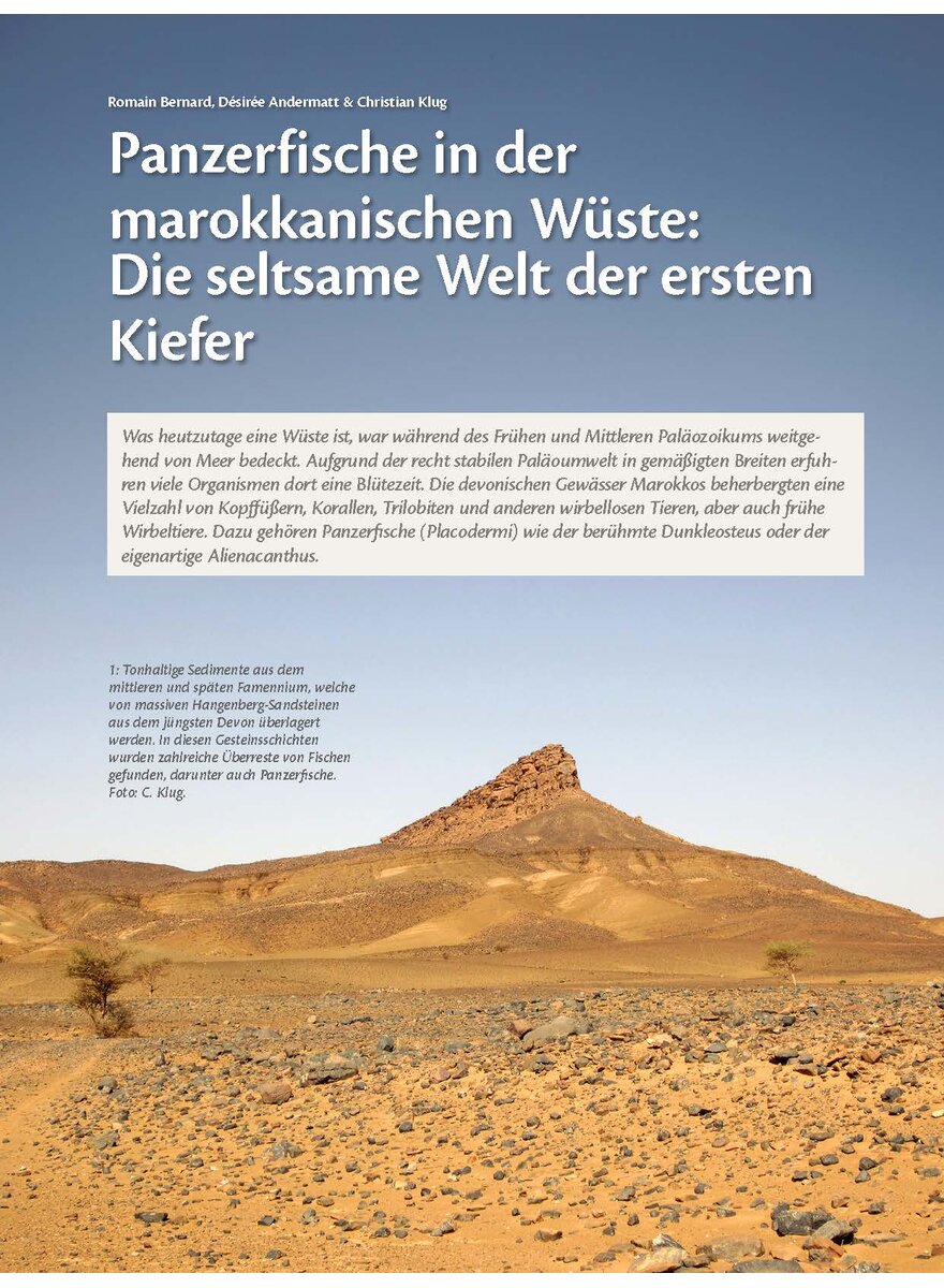 PANZERFISCHE IN DER MAROK- KANISCHEN WSTE: DIE SELTSAME WELT DER ERSTEN KIEFER