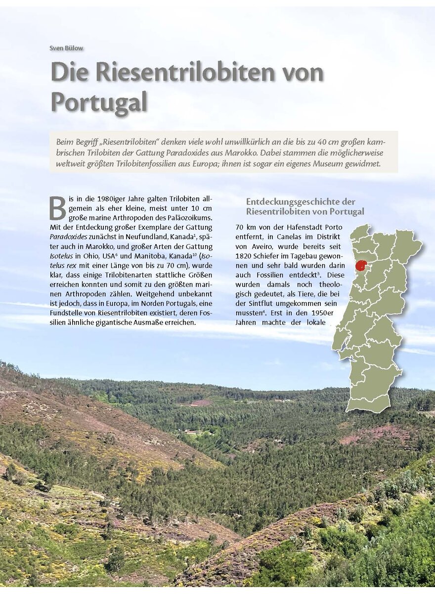 Auf diesem Bild sehen Sie das Produktbild 1 fr DIE RIESENTRILOBITEN VON PORTUGAL