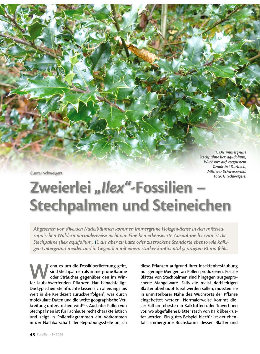 Dieses Bild zeigt das Bild 1 zu Artikelnummer FO240605