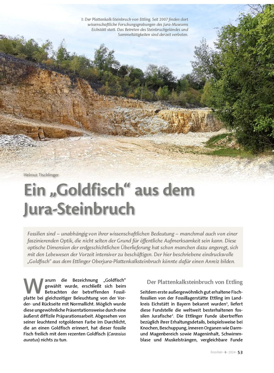 Dieses Bild zeigt das Bild 1 zu Artikelnummer FO240606