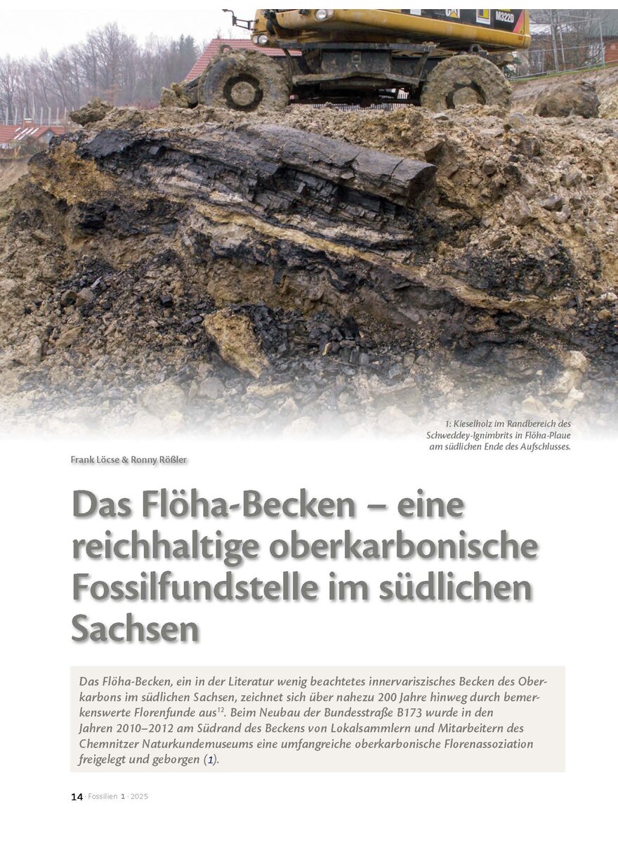 DAS FLHA-BECKEN - REICHHALTI- GE OBERKARBONISCHE FOSSIL- FUNDSTELLE IM SDL. SACHSEN
