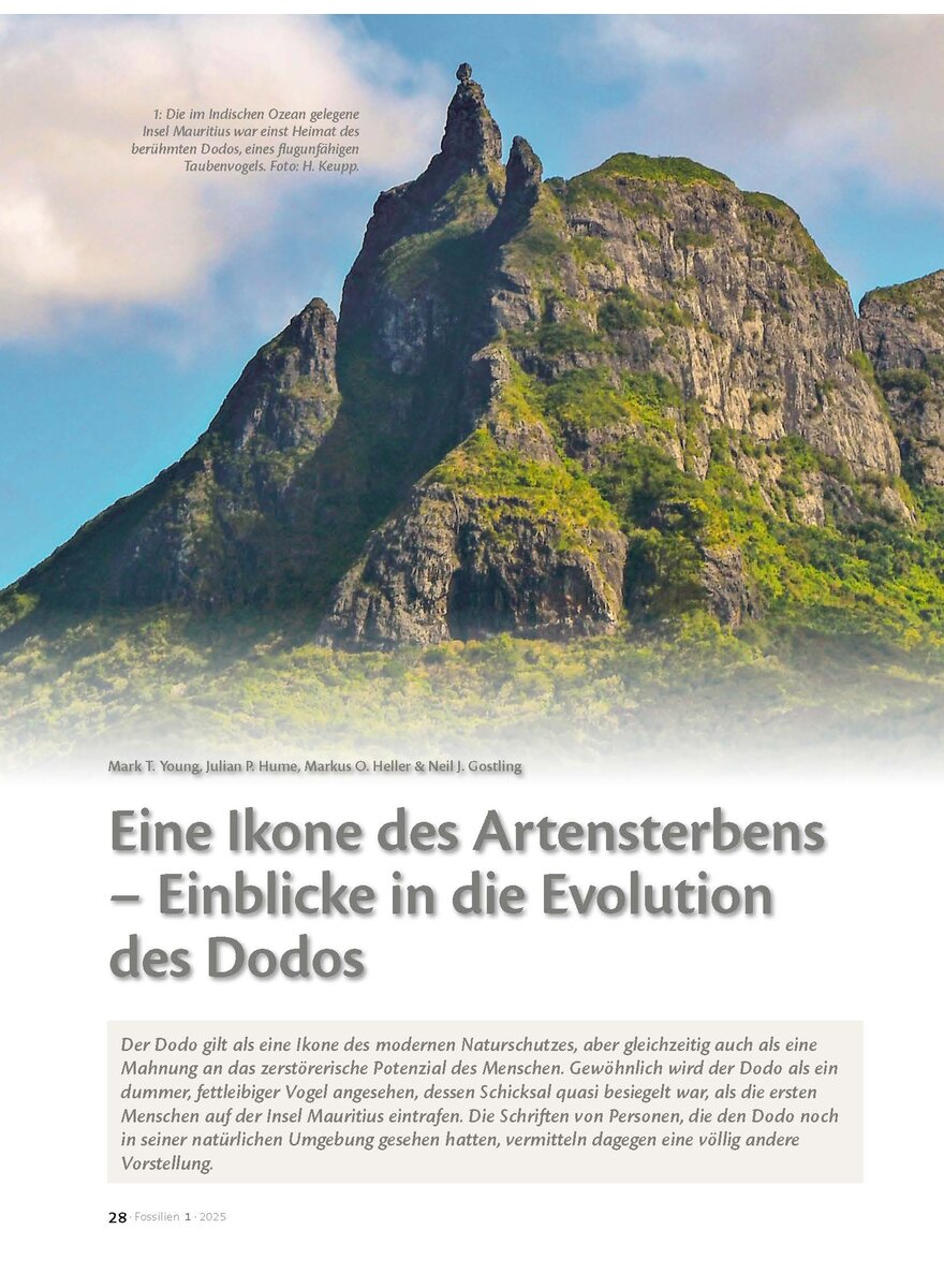 Auf diesem Bild sehen Sie das Produktbild 1 fr EINE IKONE DES ARTENSTERBENS- EINBLICKE IN DIE EVOLUTION DES DODO