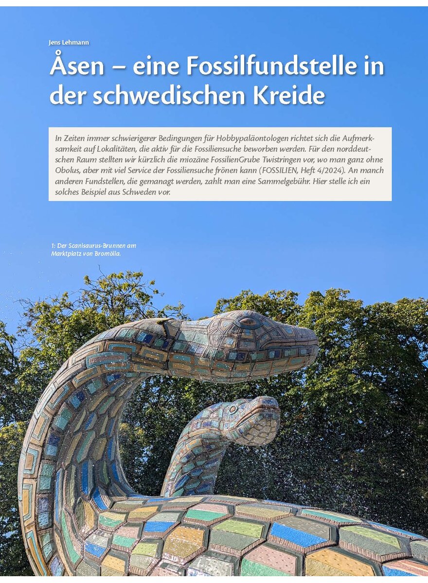 Dieses Bild zeigt das Bild 1 zu Artikelnummer FO250205