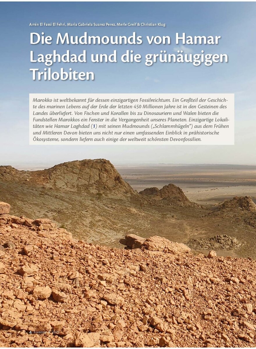 Auf diesem Bild sehen Sie das Produktbild 1 fr DIE MUDMOUNDS VON HAMAR LAGH- DAD UND DIE GRNUGIGEN TRILOBITEN