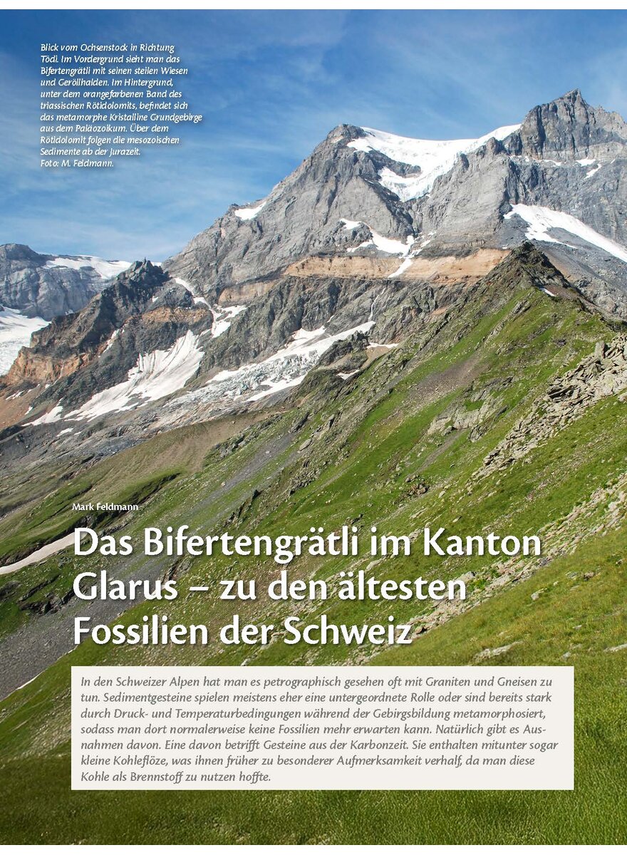 Auf diesem Bild sehen Sie das Produktbild 1 fr DAS BIFERTENGRTLI IM KANATON GLARUS - ZU DEN LTESTEN FOSSILIEN DER SCHWEIZ