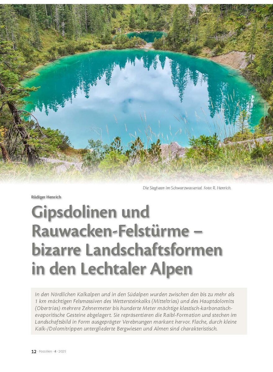 Auf diesem Bild sehen Sie das Produktbild 1 fr GIPSDOLINEN UND RAUWACKEN- FELSTRME - BIZARRE LAND- SCHAFTSFORMEN IN DEN ALPEN