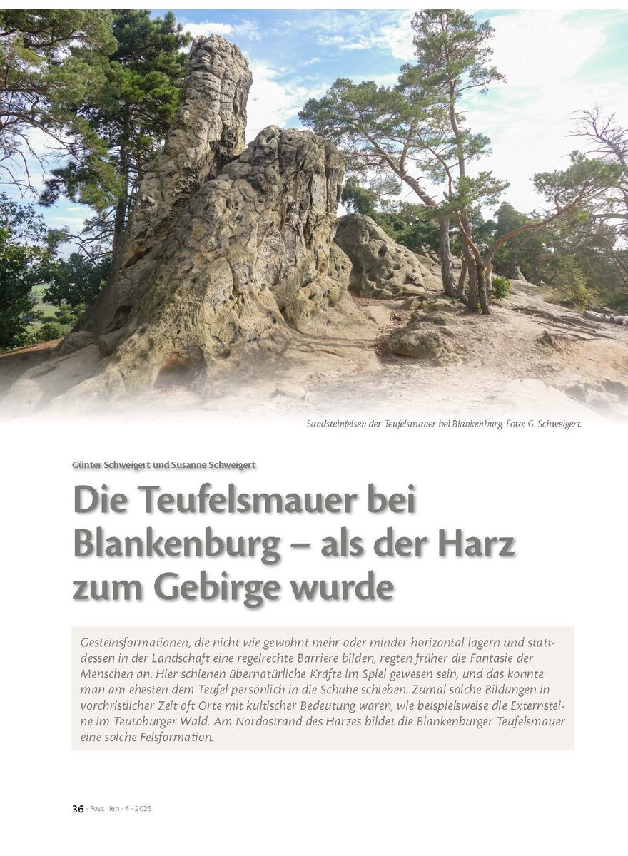 Auf diesem Bild sehen Sie das Produktbild 1 fr DIE TEUFELSMAUER BEI BLANKEN- BURG - ALS DER HARZ ZUM GEBIRGE WURDE