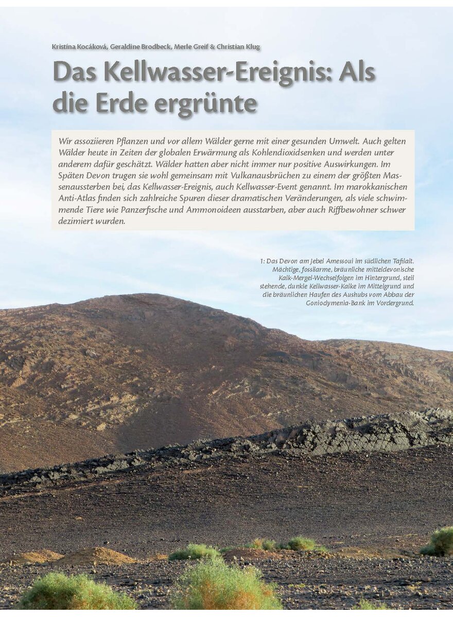 Auf diesem Bild sehen Sie das Produktbild 1 fr DAS KELLERWASSER-EREIGNIS: ALS DIE ERDE ERGRNTE