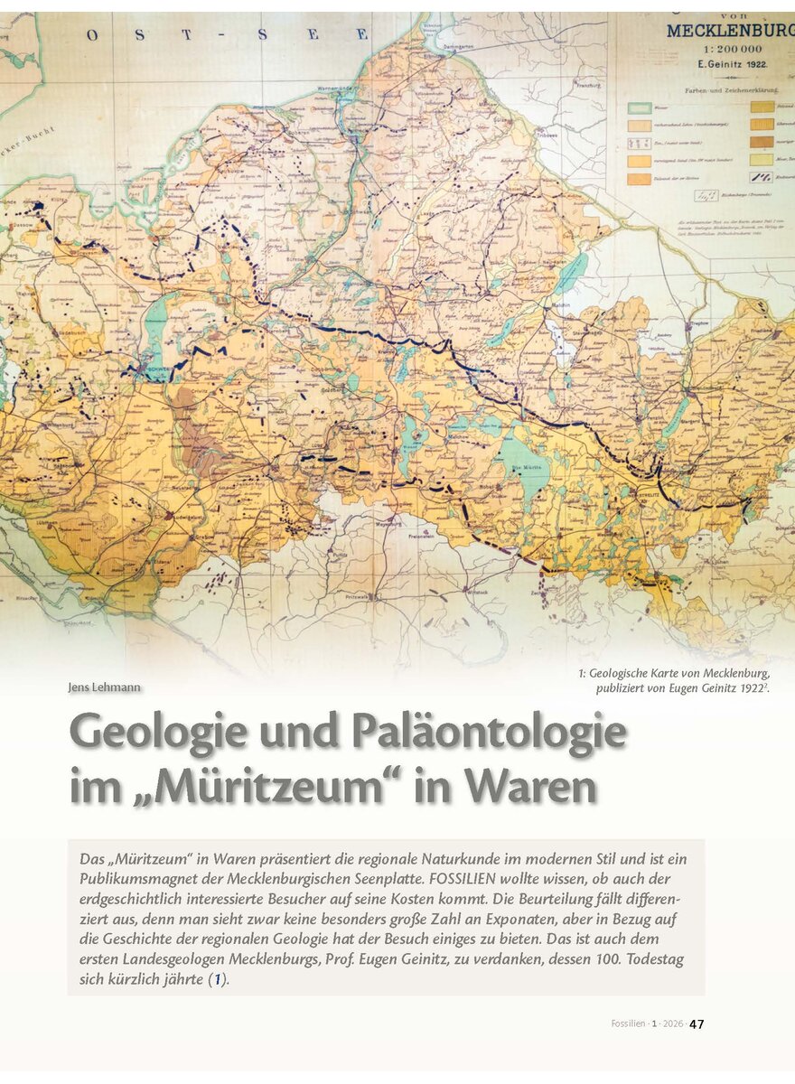 Auf diesem Bild sehen Sie das Produktbild 1 f�r GEOLOGIE UND PAL�ANTOLOGIE IM M�RITZEUM IN WAREN