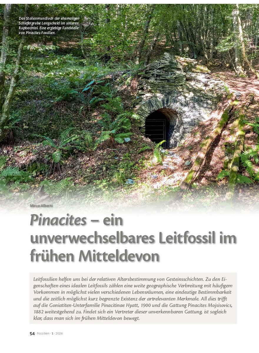 Auf diesem Bild sehen Sie das Produktbild 1 f�r PINACITES - EIN UNVERWECHSEL- BARES LEITFOSSIL IM FR�HEN MITTELDEVON