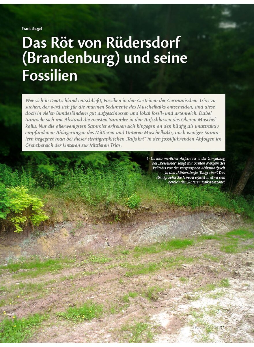 Auf diesem Bild sehen Sie das Produktbild 1 f�r DAS R�T VON R�DERSDORF (BRANDENBURG) UND SEINE FOSSILIEN