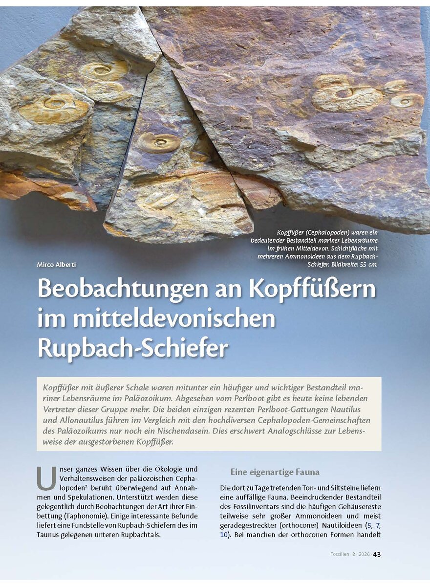 Auf diesem Bild sehen Sie das Produktbild 1 f�r BEOBACHTUNGEN AN KOPF- F�SSERN IM MITTELDEVONISCHEN RUPBACH-SCHIEFER