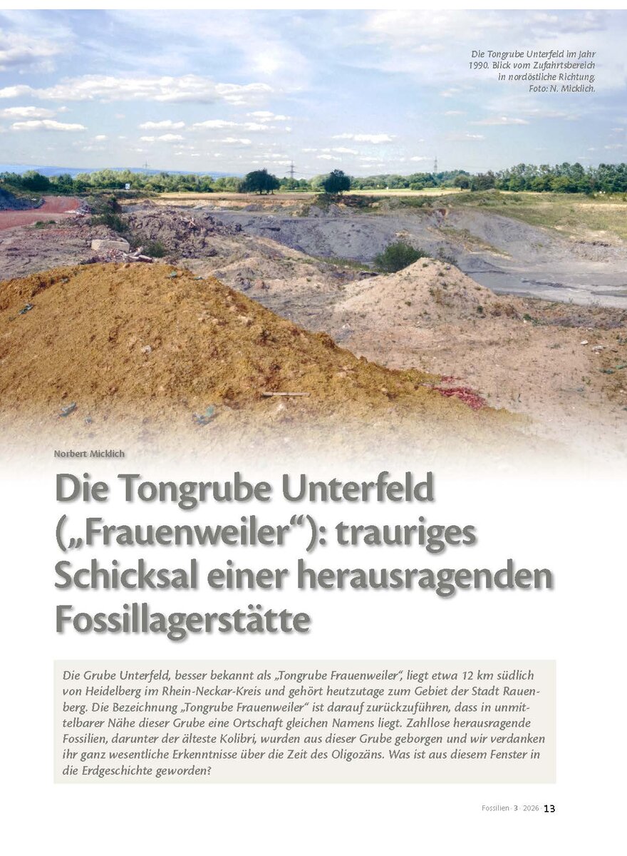 Auf diesem Bild sehen Sie das Produktbild 1 f�r DIE TONGRUBE UNTERFELD: TRAU- RIGES SCHICKSAL EINER HERAUS- RAG. FOSSILLAGERST�TTE