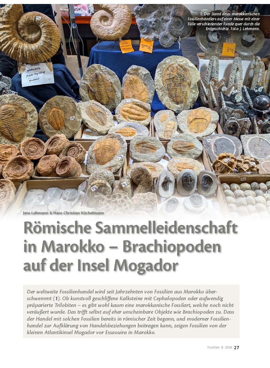 Auf diesem Bild sehen Sie das Produktbild 1 f�r R�MISCHE SAMMELLEIDENSCHAFT IN MAROKKO - BRACHIOPODEN AUF DER INSEL MOGADOR